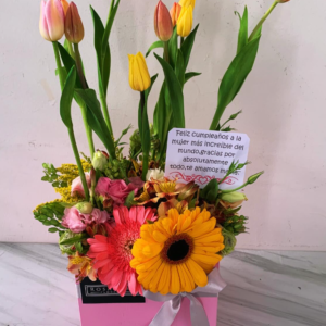 Base de 10 Tulipanes holandese con follaje B10THFL01