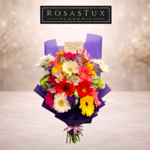 Ramo de 10 Gerberas con follaje G10FL01