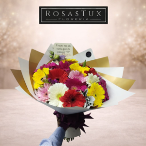 Ramo de 20 Gerberas G20FL02