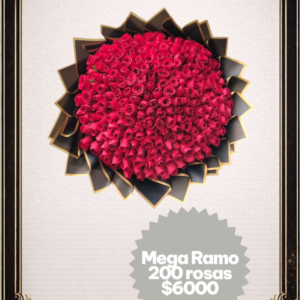 Mega ramo de 200 rosas R200M01