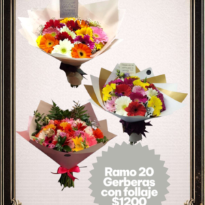 Ramo de 20 Gerberas
