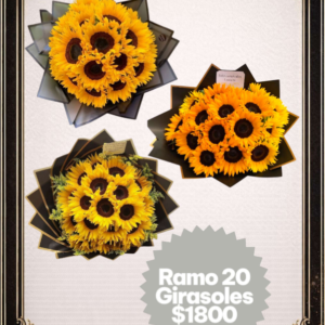 Ramo de 20 girasoles