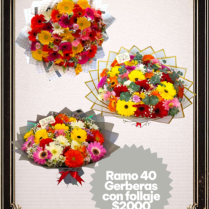 Ramo de 40 Gerberas