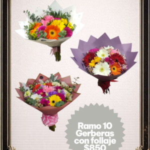 Ramo de 10 Gerberas con follaje